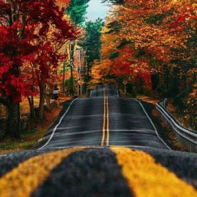 bet韦德官方网站截图