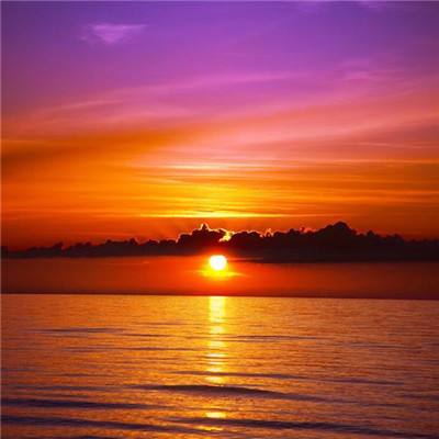 4949澳门免费资料大全