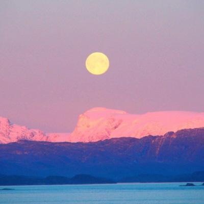 乐鱼APP手机app下载