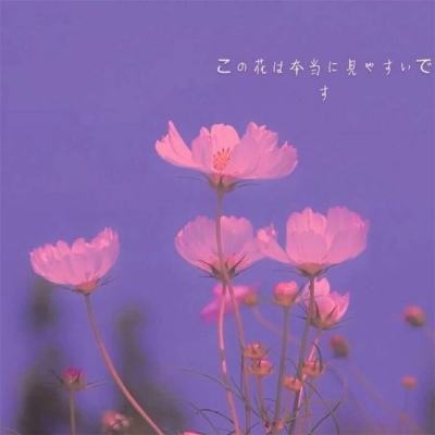 电子mg官方网站