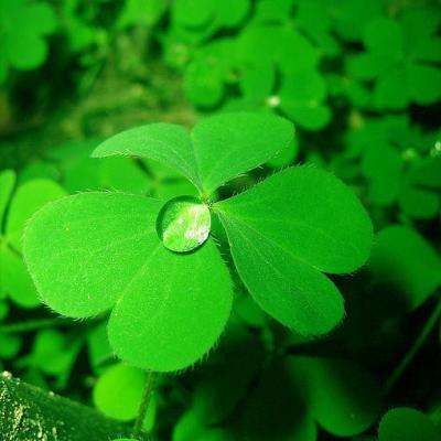 台湾福星彩截图