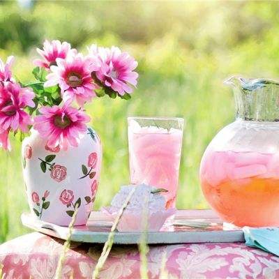 乐鱼APP手机app下载截图