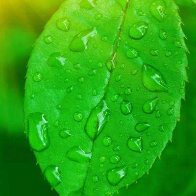 风云体育app下载官网截图