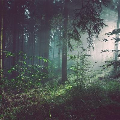 b体育手机网页版登录入口